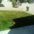Photo #13: Clean ups service, lawn maintenance, palm tree service, yard cleaning