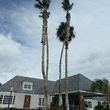 Photo #16: Clean ups service, lawn maintenance, palm tree service, yard cleaning