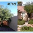 Photo #17: Clean ups service, lawn maintenance, palm tree service, yard cleaning