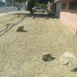 Photo #19: Clean ups service, lawn maintenance, palm tree service, yard cleaning