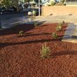 Photo #17: Clean-ups weeds, landscaping ,paver,   synthetic grass , tree services