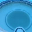 Photo #6: LOW PRICES! Weekly Pool Service. Acid Wash/Repairs/Drain/Cleaning...