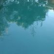 Photo #11: LOW PRICES! Weekly Pool Service. Acid Wash/Repairs/Drain/Cleaning...