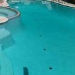 Photo #15: LOW PRICES! Weekly Pool Service. Acid Wash/Repairs/Drain/Cleaning...