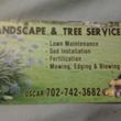 Photo #1: TREE TRIM clean ups free estimates also and palm trimming