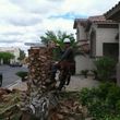 Photo #6: TREE REMOVAL, STUMP GRINDED, TREE TRIMMING, TOPPING, PALM SKINNING!!!