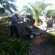 Photo #7: TREE REMOVAL, STUMP GRINDED, TREE TRIMMING, TOPPING, PALM SKINNING!!!