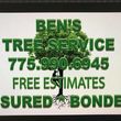 Photo #1: Tree trimming or Removal .. Tree removal experts