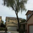 Photo #3: Tree trimming or Removal .. Tree removal experts