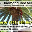 Photo #1: TREE TRIMMING/REMOVALS/STUMP GRINDING/FULLY INSURED!! FREE ESTIMATES!!