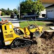 Photo #14: TREE TRIMMING/REMOVALS/STUMP GRINDING/FULLY INSURED!! FREE ESTIMATES!!