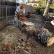 Photo #17: TREE TRIMMING/REMOVALS/STUMP GRINDING/FULLY INSURED!! FREE ESTIMATES!!