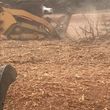 Photo #4: Forestry Mulching/Cedar Tree Clearing