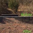 Photo #10: Forestry Mulching/Cedar Tree Clearing