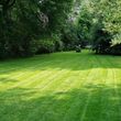Photo #2: RESIDENTIAL AND COMMERCIAL LAWN CARE STARTING AT $30