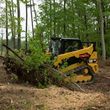 Photo #2: Land / Lot Clearing - Forestry Mulching