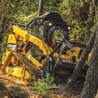 Photo #3: Land / Lot Clearing - Forestry Mulching