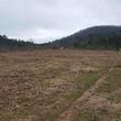Photo #8: Land Clearing & Land Reclamation