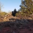 Photo #5: Demolition Available & Large Stump Remover