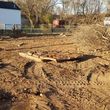 Photo #13: Demolition Available & Large Stump Remover