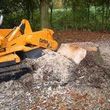 Photo #5: STUMP REMOVAL... STUMP GRINDING.....BEST PRICES
