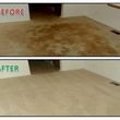 Photo #5: ★ $59-$99 NOBODY GETS THEM CLEANER FOR LESS CARPET CLEANING