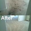 Photo #9: ★ $59-$99 NOBODY GETS THEM CLEANER FOR LESS CARPET CLEANING