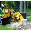 Photo #1: Stump Grinding and Tree Trimming Cheap Rates!! Spring Special