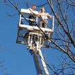 Photo #14: Tree Trimming and Removal