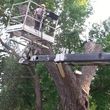 Photo #2: Tree Trimming and Removal
