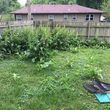 Photo #1: YARD CLEAN UP IS A MUST