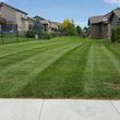 Photo #4: Mowing $20 and get 2 free cuts