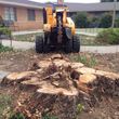 Photo #7: Tree Stump Grinding ---Insured