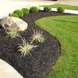 Photo #4: Summer discount for all customers!!! LANDSCAPING SERVICE!!!