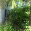 Photo #4: OVERGROWN PROPERTY CLEARING / GRASS CUTTING / BUSH REMOVAL /