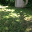 Photo #8: OVERGROWN PROPERTY CLEARING / GRASS CUTTING / BUSH REMOVAL /