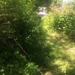 Photo #10: OVERGROWN PROPERTY CLEARING / GRASS CUTTING / BUSH REMOVAL /