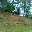 Photo #15: OVERGROWN PROPERTY CLEARING / GRASS CUTTING / BUSH REMOVAL /
