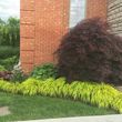 Photo #5: Flower planting, weeding, trimming, landscaping design, etc.