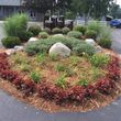Photo #8: Flower planting, weeding, trimming, landscaping design, etc.