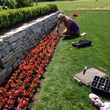 Photo #11: Flower planting, weeding, trimming, landscaping design, etc.