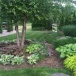 Photo #15: Flower planting, weeding, trimming, landscaping design, etc.