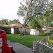 Photo #6: TREE   SERVICE