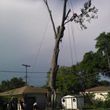 Photo #9: TREE   SERVICE