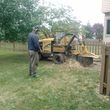 Photo #15: TREE   SERVICE