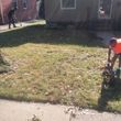 Photo #8: Sod Installation + Bush Trimming Specials All This Week 