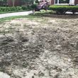 Photo #19: Sod Installation + Bush Trimming Specials All This Week 