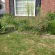 Photo #1: Landscaping/cleanup/ weekly lawn care