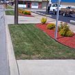 Photo #1: Lawn(commercial/Lots/Lg residential) Shrubs, Tree trims, Weed removal