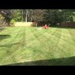 Photo #4: Weekly and biweekly lawn mowing in Livonia and surrounding areas.